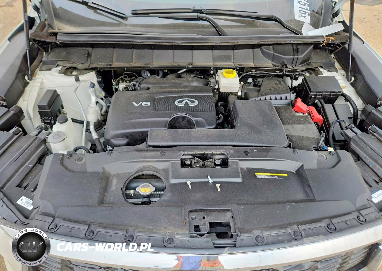2023 Infiniti Qx60 Luxe VIN:5N1DL1FS9PC355373 - 11