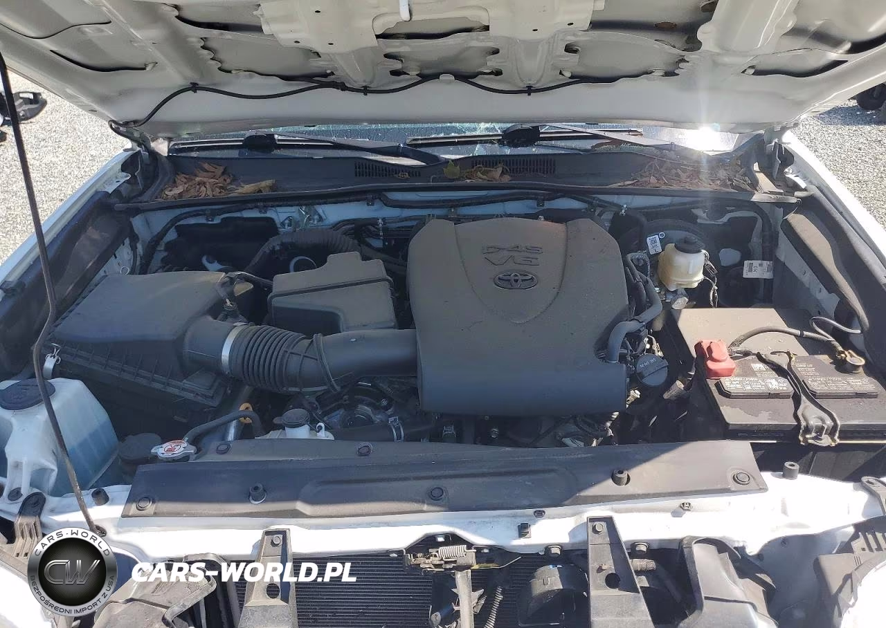 2021 Toyota Tacoma Sr5 V6 VIN:5TFCZ5AN4MX282215 - 11