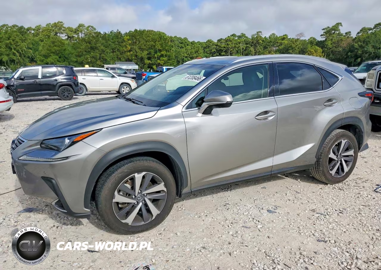 2019 Lexus Nx 300 Base VIN:JTJYARBZ2K2137753 - 1