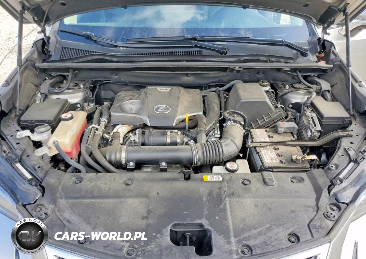 2019 Lexus Nx 300 Base VIN:JTJYARBZ2K2137753 - 12