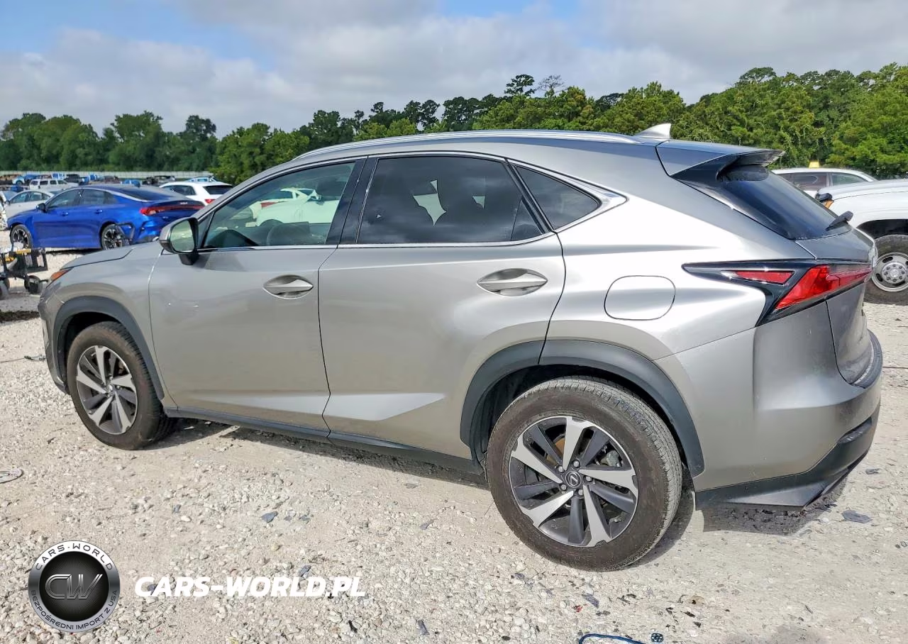 2019 Lexus Nx 300 Base VIN:JTJYARBZ2K2137753 - 2