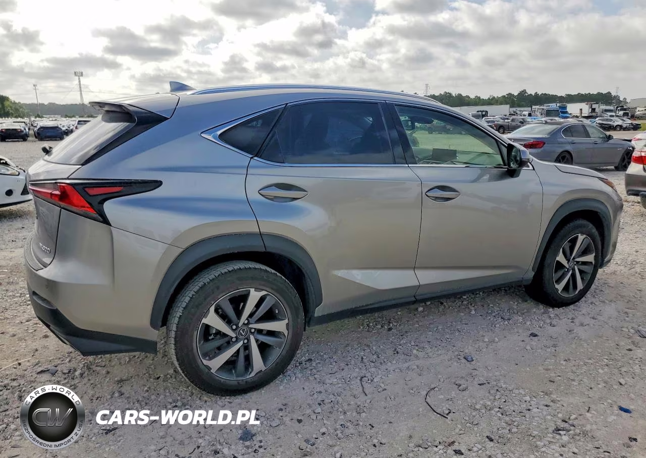 2019 Lexus Nx 300 Base VIN:JTJYARBZ2K2137753 - 3