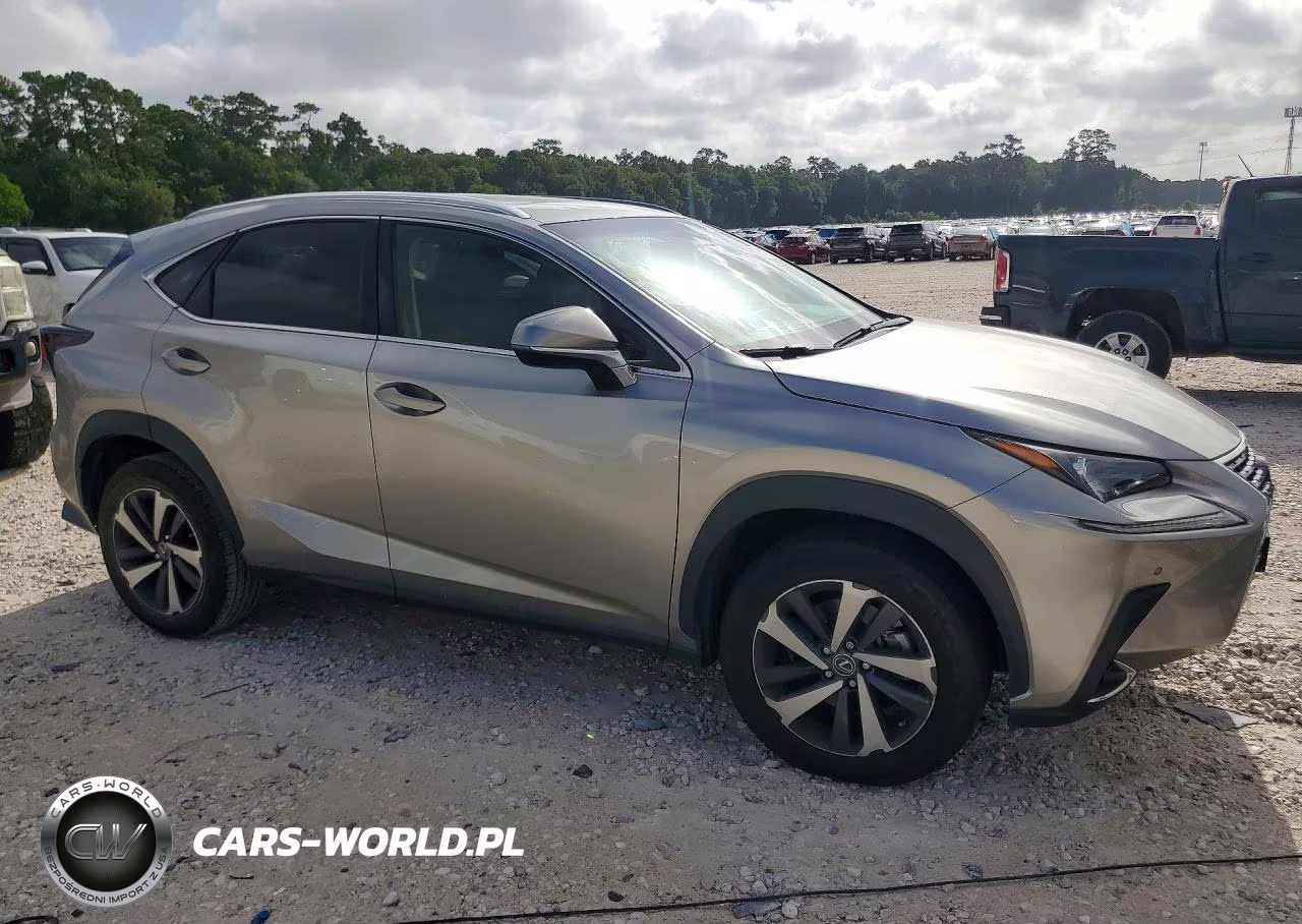 2019 Lexus Nx 300 Base VIN:JTJYARBZ2K2137753 - 4