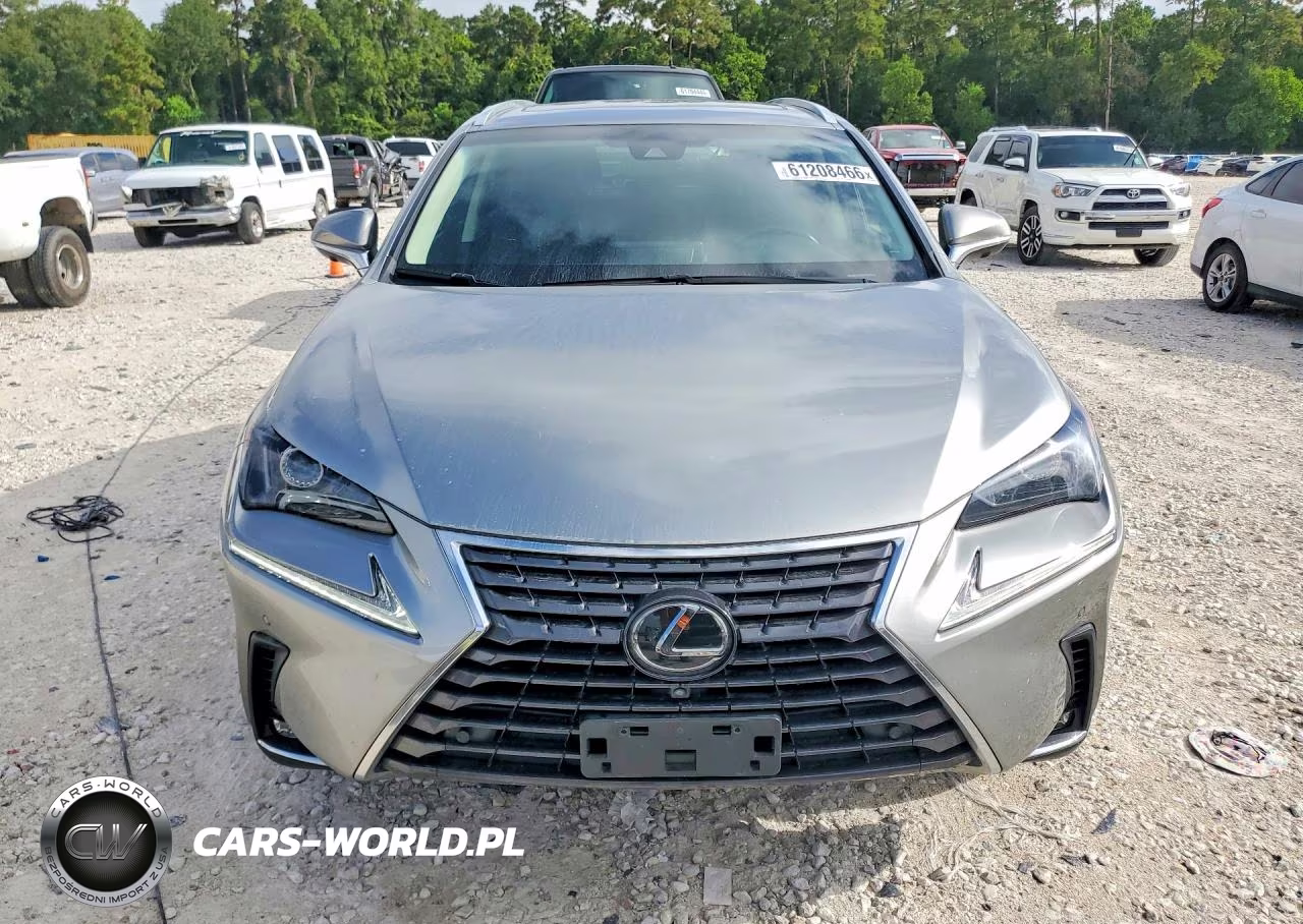2019 Lexus Nx 300 Base VIN:JTJYARBZ2K2137753 - 5