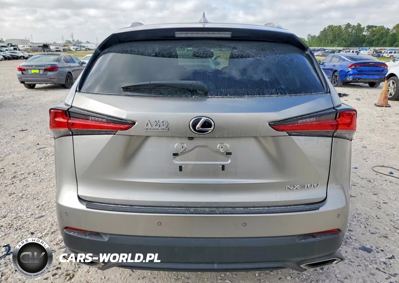 2019 Lexus Nx 300 Base VIN:JTJYARBZ2K2137753 - 6