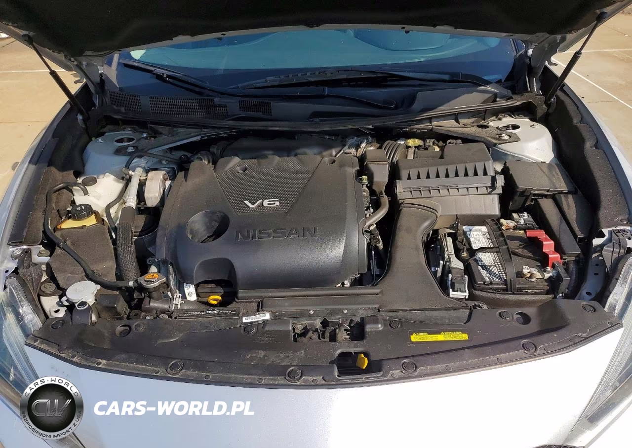 NISSAN MAXIMA 3.5 VIN:1N4AA6APXGC395299 - 11