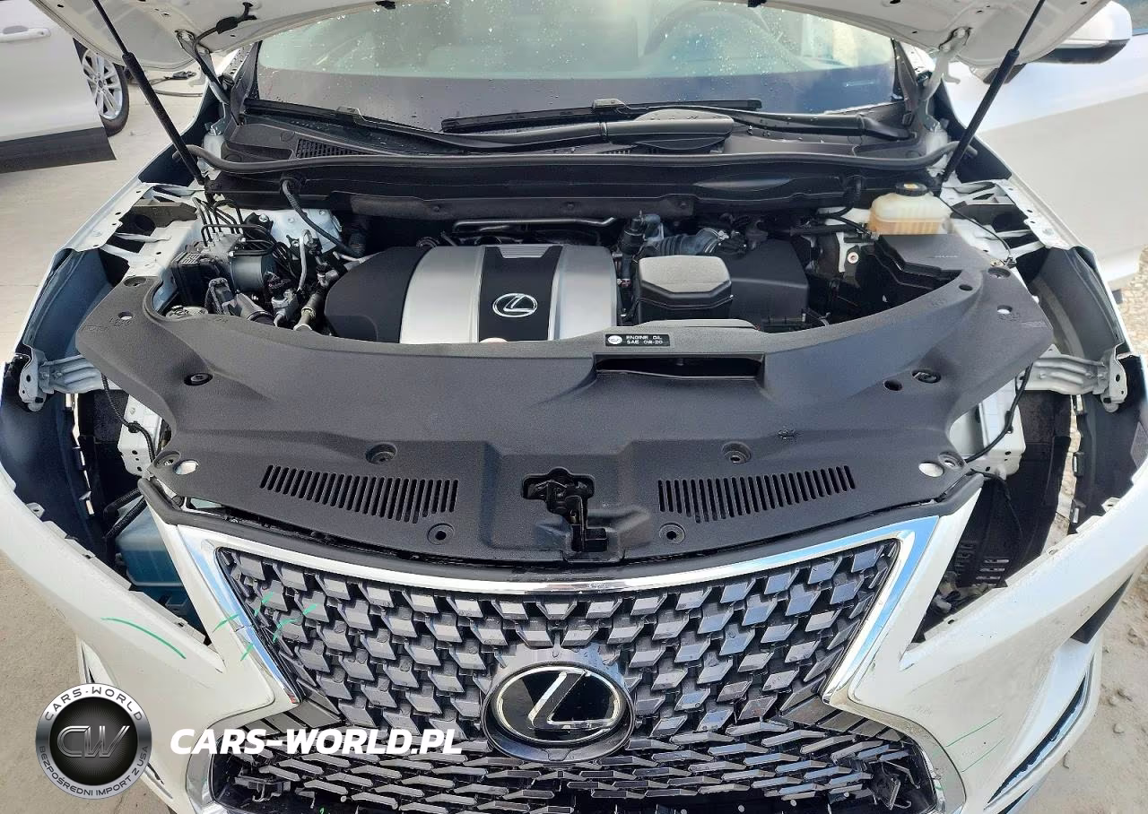 2021 Lexus Rx 350 L VIN:JTJHZKEA0M2021184 - 12