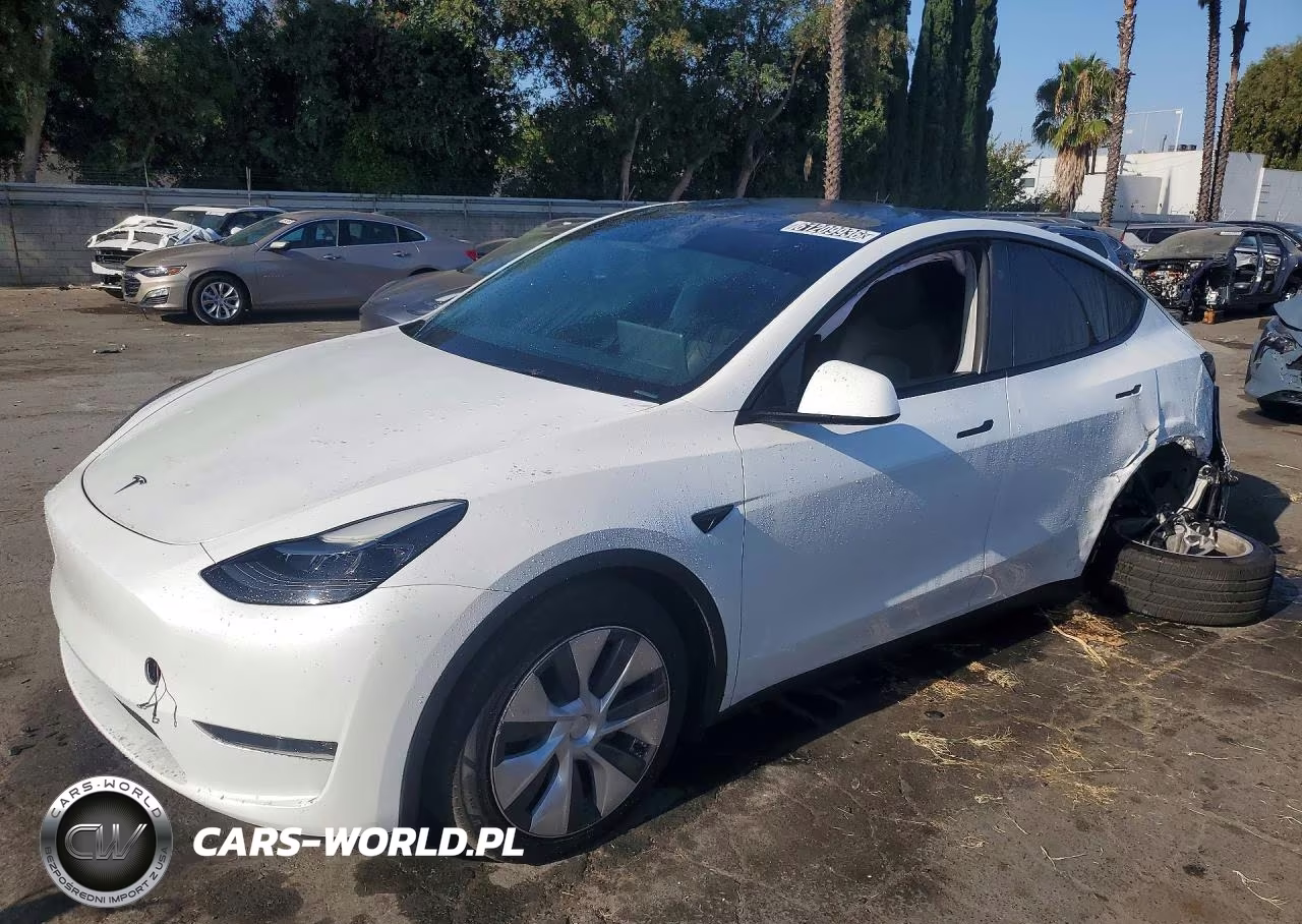 2024 Tesla Model Y VIN:7SAYGDEE4RA263584 - 1