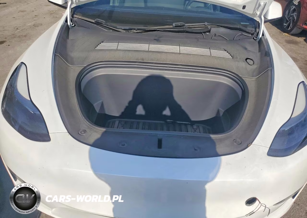 2024 Tesla Model Y VIN:7SAYGDEE4RA263584 - 11