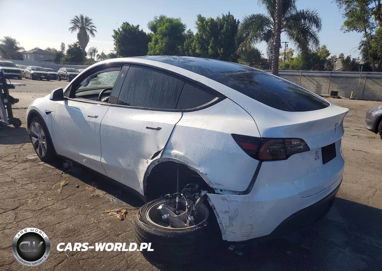 2024 Tesla Model Y VIN:7SAYGDEE4RA263584 - 2