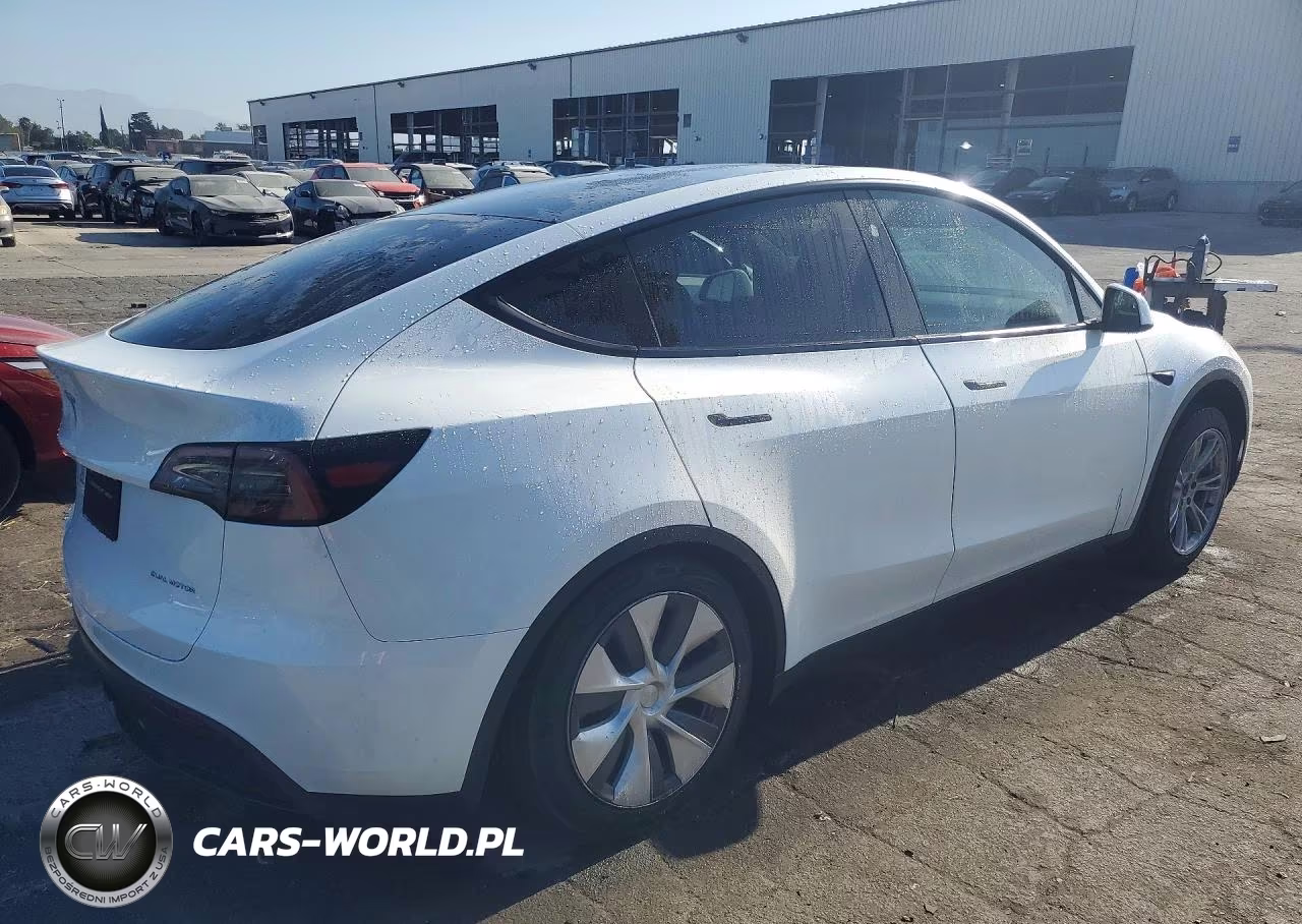 2024 Tesla Model Y VIN:7SAYGDEE4RA263584 - 3