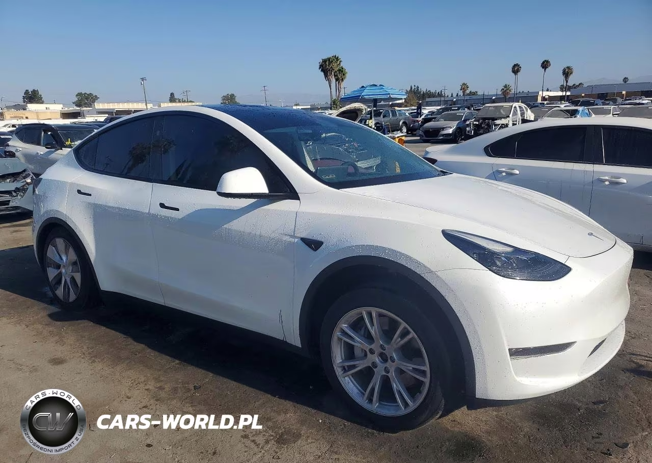 2024 Tesla Model Y VIN:7SAYGDEE4RA263584 - 4