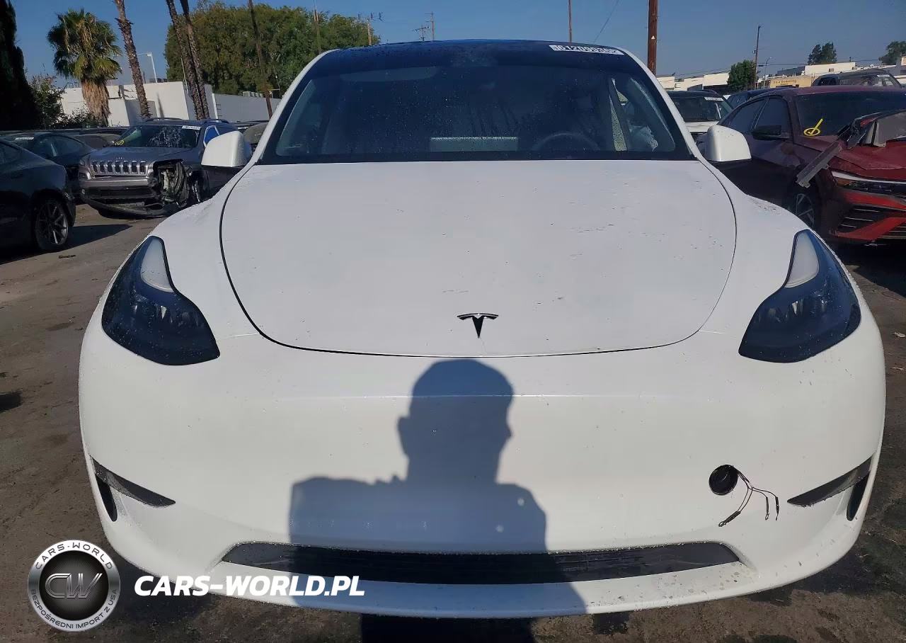 2024 Tesla Model Y VIN:7SAYGDEE4RA263584 - 5