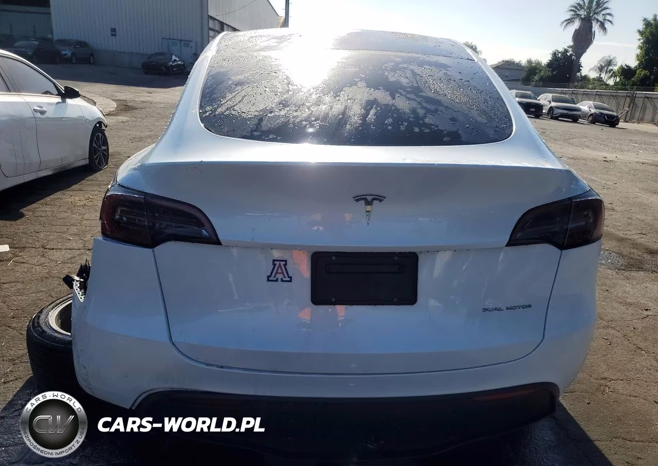 2024 Tesla Model Y VIN:7SAYGDEE4RA263584 - 6