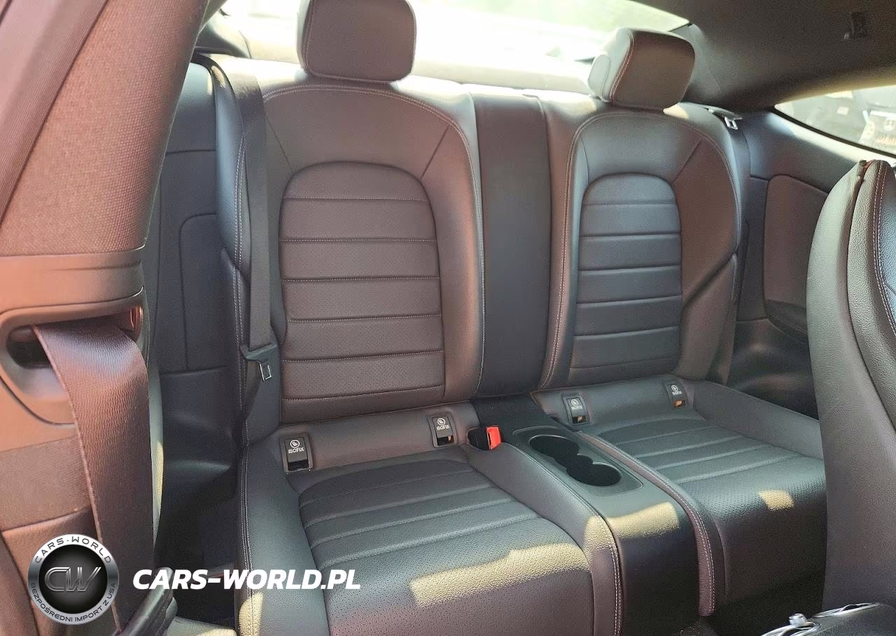 2019 Mercedes-Benz C 300 VIN:WDDWJ8DB6KF776334 - 10
