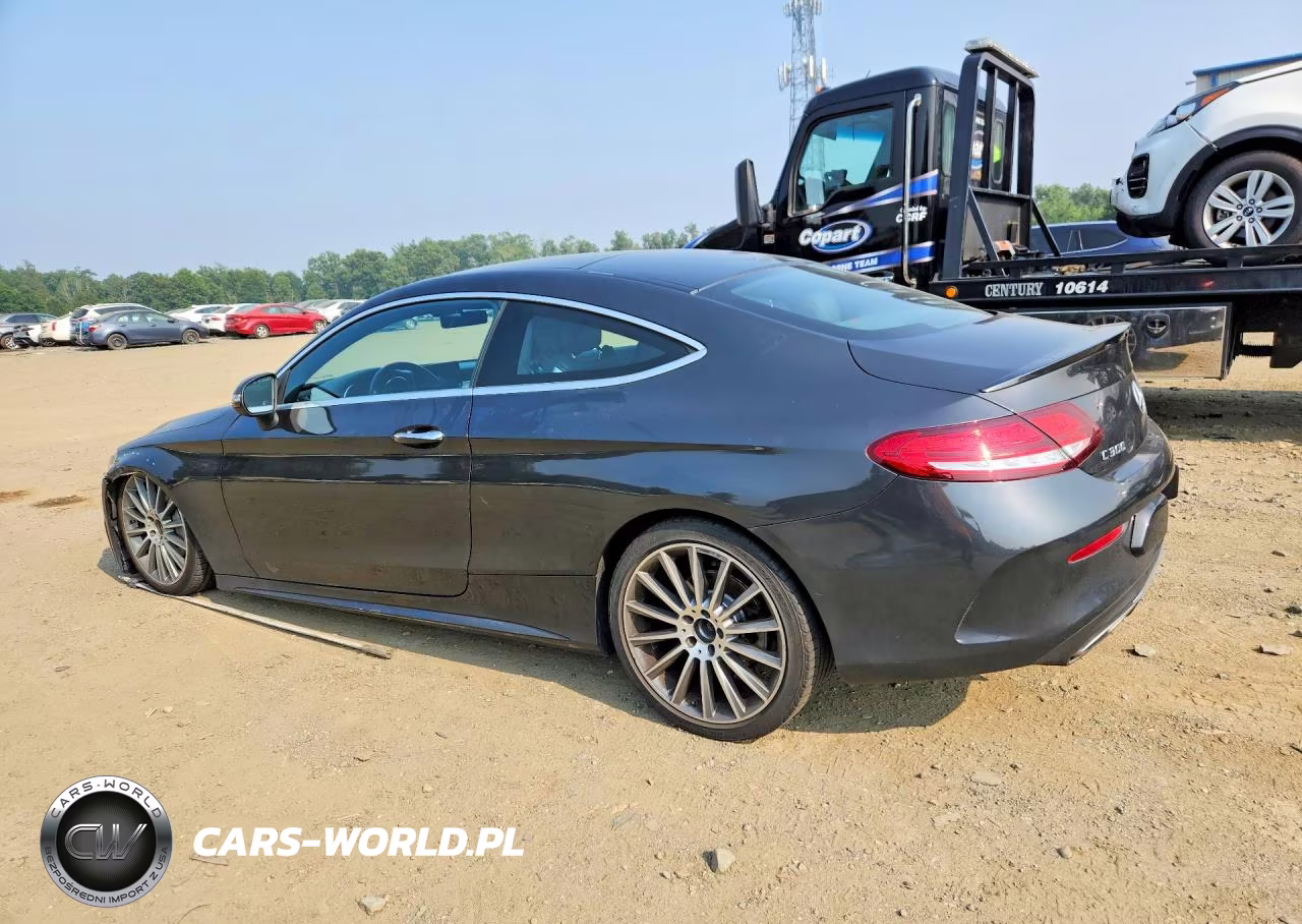 2019 Mercedes-Benz C 300 VIN:WDDWJ8DB6KF776334 - 2