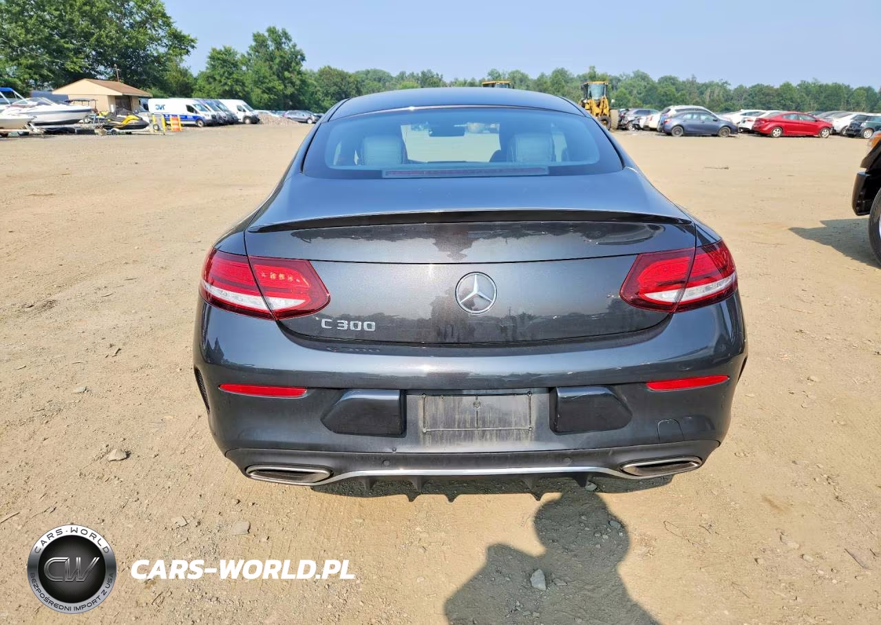 2019 Mercedes-Benz C 300 VIN:WDDWJ8DB6KF776334 - 6
