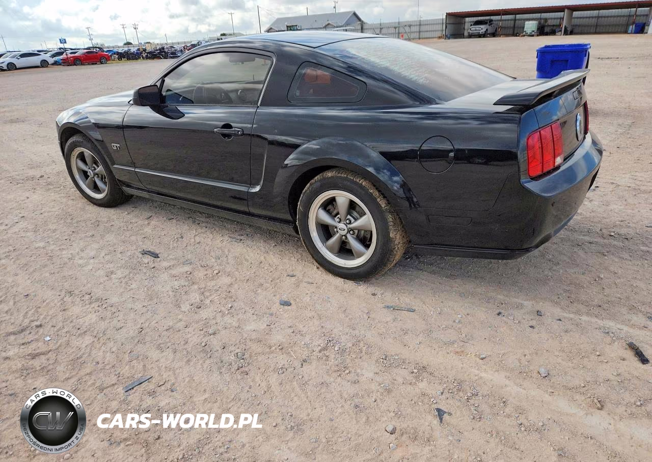 2006 Ford Mustang Gt VIN:1ZVFT82H565154165 - 2