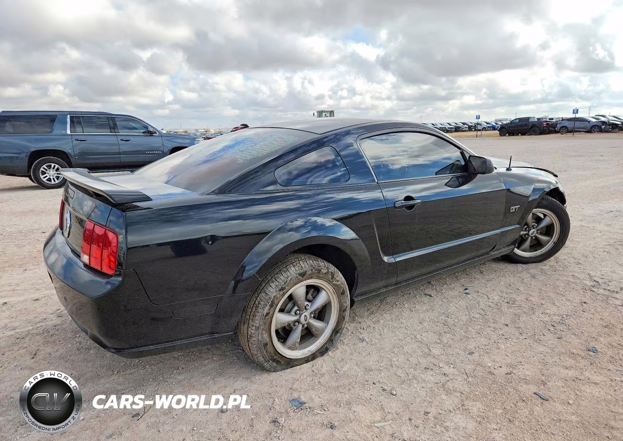 2006 Ford Mustang Gt VIN:1ZVFT82H565154165 - 3