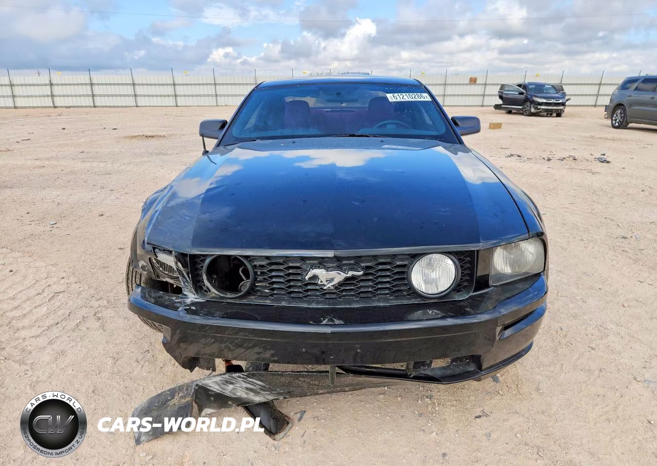 2006 Ford Mustang Gt VIN:1ZVFT82H565154165 - 5