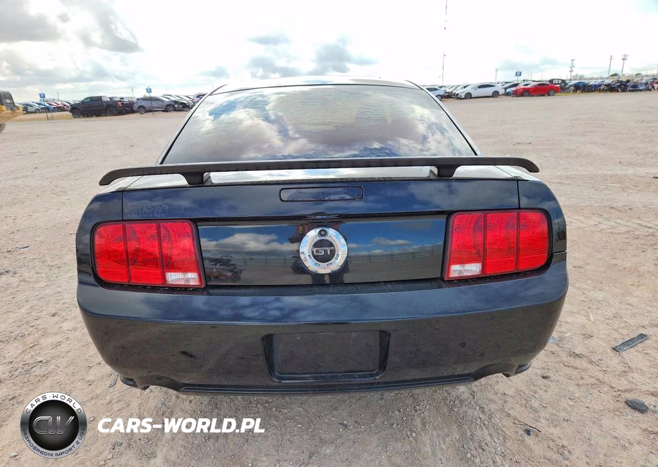 2006 Ford Mustang Gt VIN:1ZVFT82H565154165 - 6