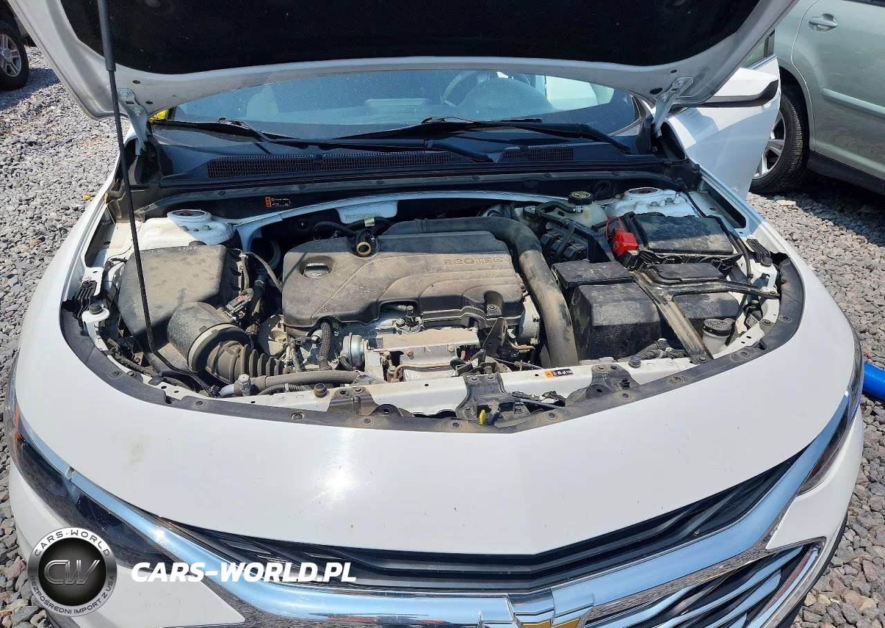 2019 Chevrolet Malibu Lt VIN:1G1ZD5ST7KF123125 - 11