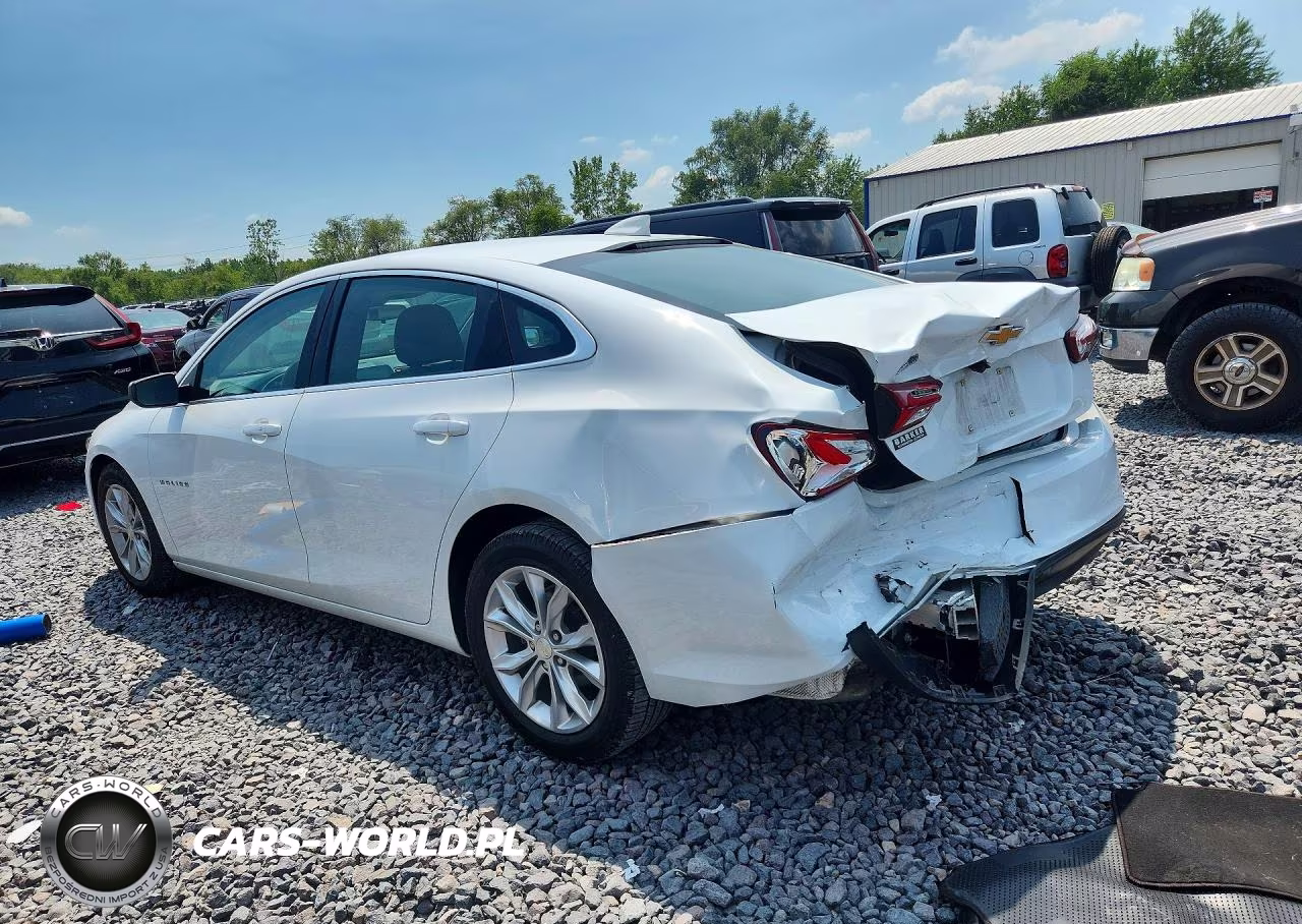 2019 Chevrolet Malibu Lt VIN:1G1ZD5ST7KF123125 - 2