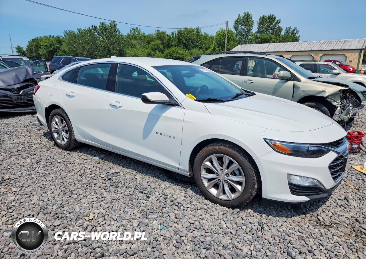 2019 Chevrolet Malibu Lt VIN:1G1ZD5ST7KF123125 - 4