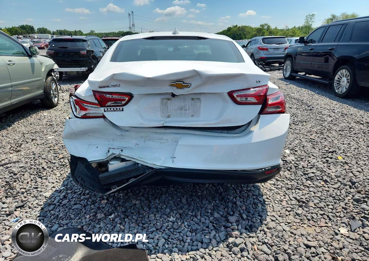 2019 Chevrolet Malibu Lt VIN:1G1ZD5ST7KF123125 - 6