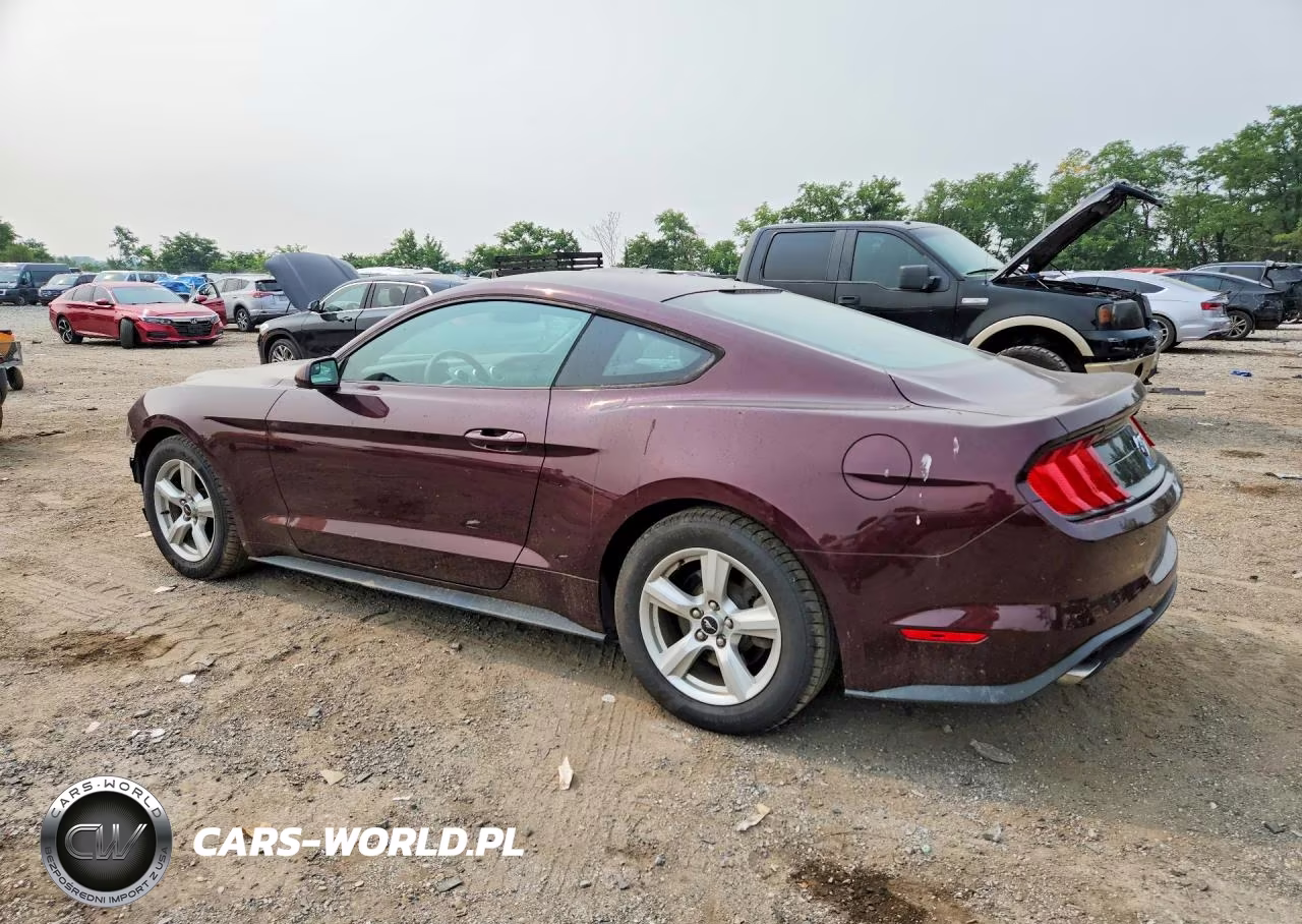 2018 Ford Mustang VIN:1FA6P8TH5J5183430 - 2