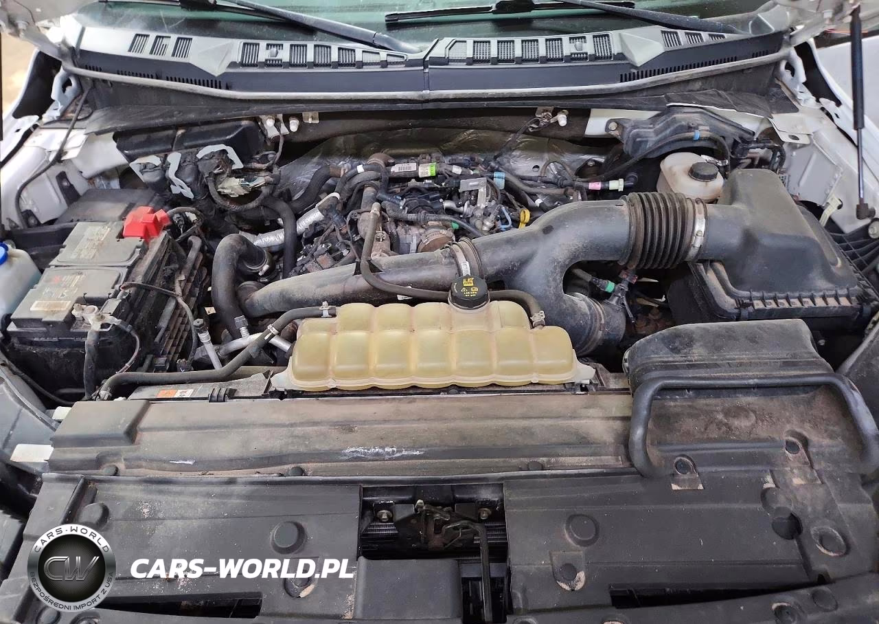 2020 Ford F150 Supercrew VIN:1FTEW1EP9LKD10172 - 11