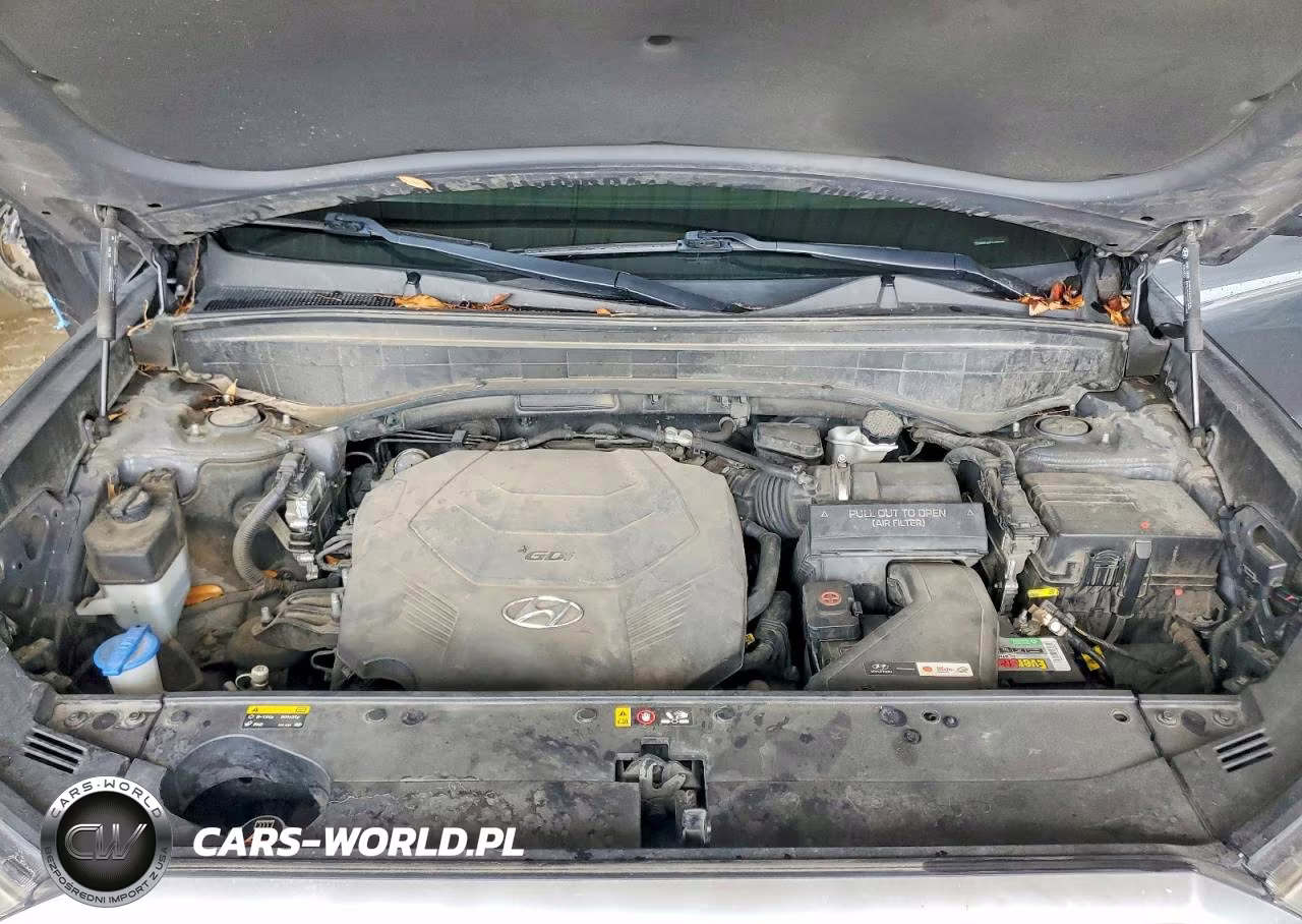 2020 Hyundai Palisade Sel VIN:KM8R34HE5LU106149 - 12