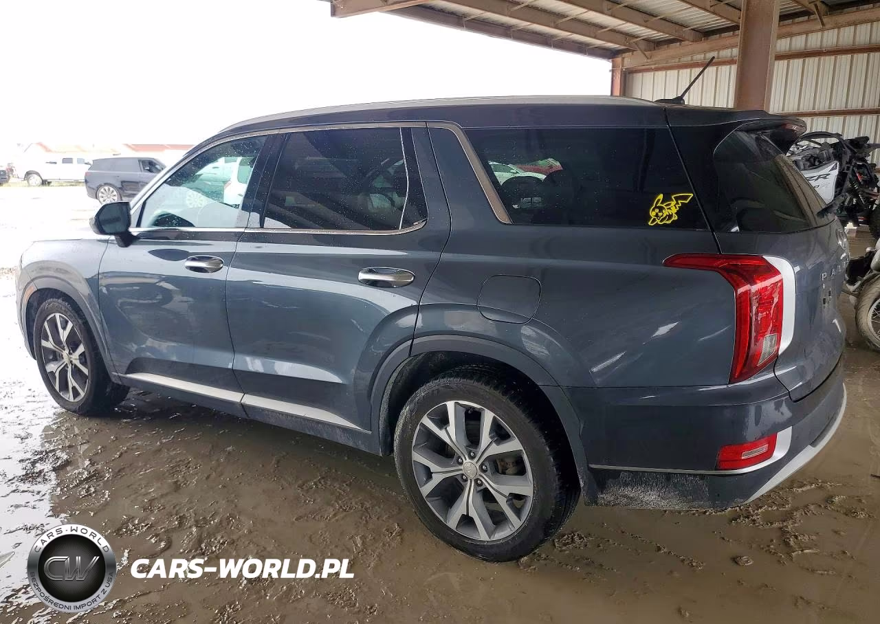 2020 Hyundai Palisade Sel VIN:KM8R34HE5LU106149 - 2