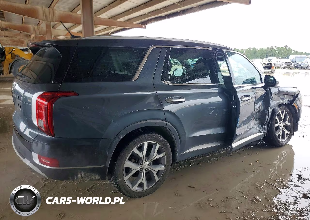 2020 Hyundai Palisade Sel VIN:KM8R34HE5LU106149 - 3