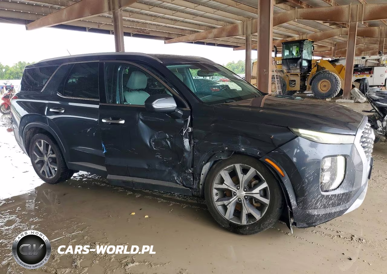 2020 Hyundai Palisade Sel VIN:KM8R34HE5LU106149 - 4