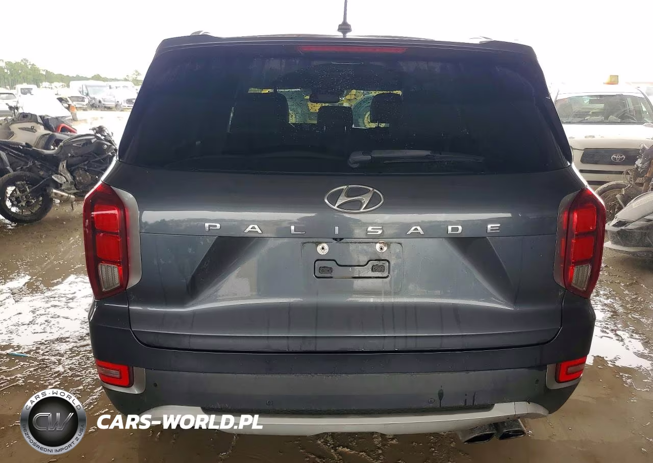 2020 Hyundai Palisade Sel VIN:KM8R34HE5LU106149 - 6