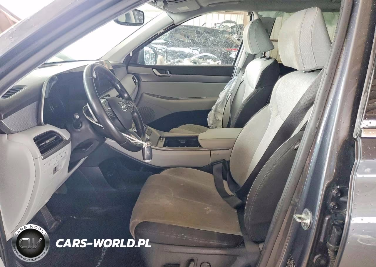 2020 Hyundai Palisade Sel VIN:KM8R34HE5LU106149 - 7