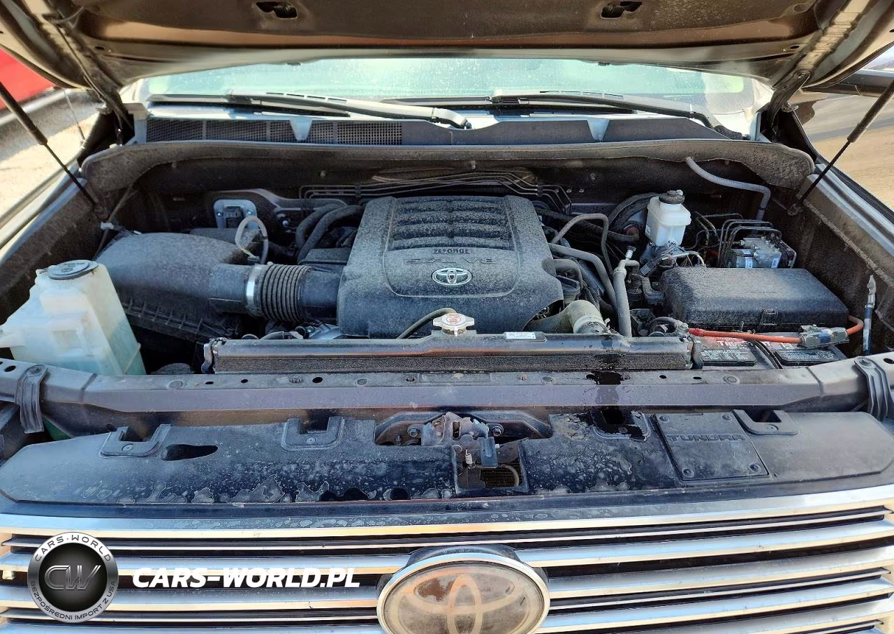 2019 Toyota Tundra Crewmax Limited VIN:5TFHY5F18KX833726 - 11