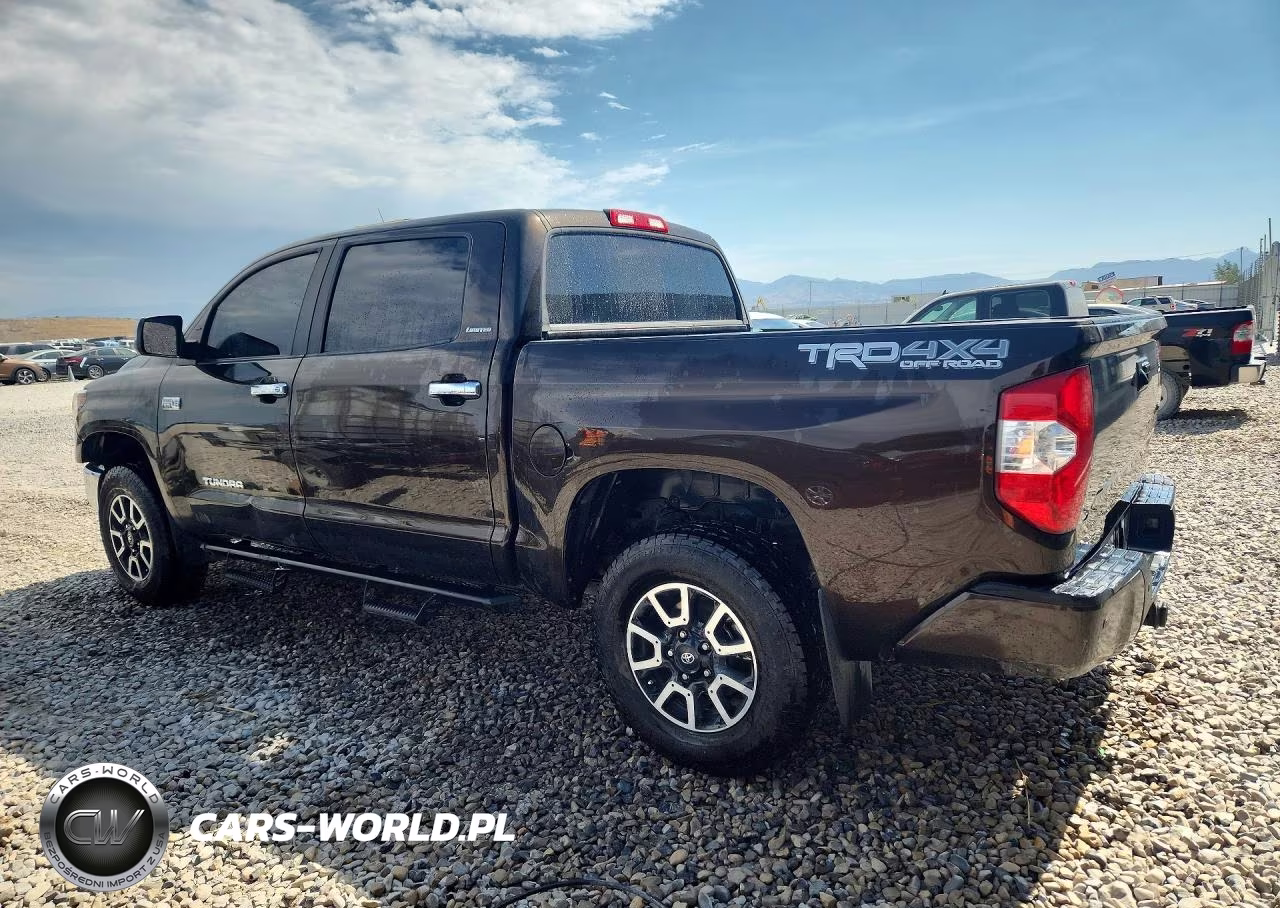 2019 Toyota Tundra Crewmax Limited VIN:5TFHY5F18KX833726 - 2
