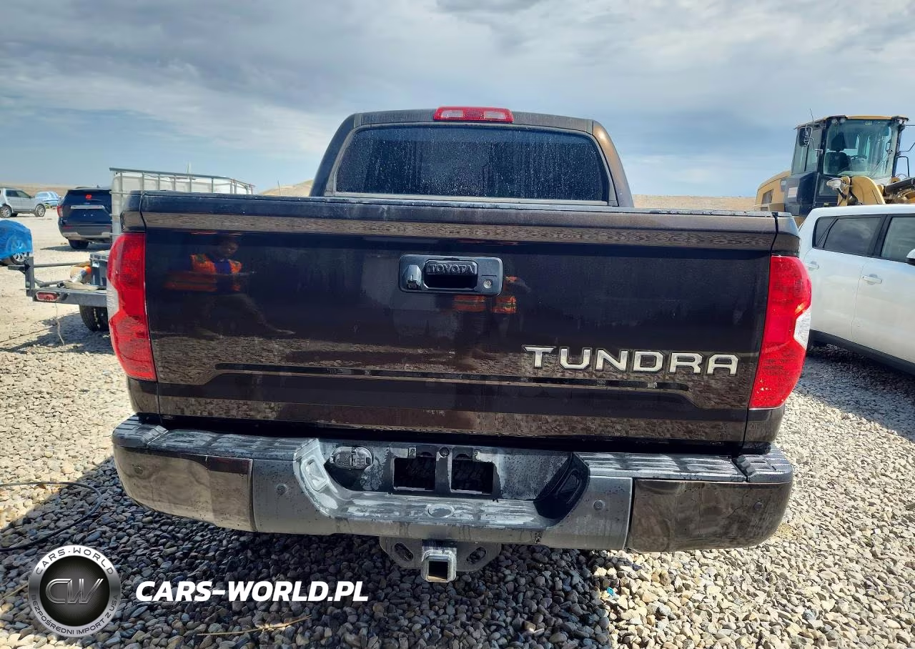 2019 Toyota Tundra Crewmax Limited VIN:5TFHY5F18KX833726 - 6