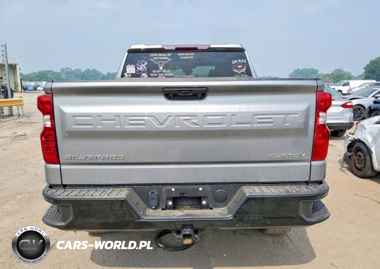 2023 Chevrolet Silverado K1500 Trail Boss Custom VIN:3GCPDCEK0PG233509 - 6