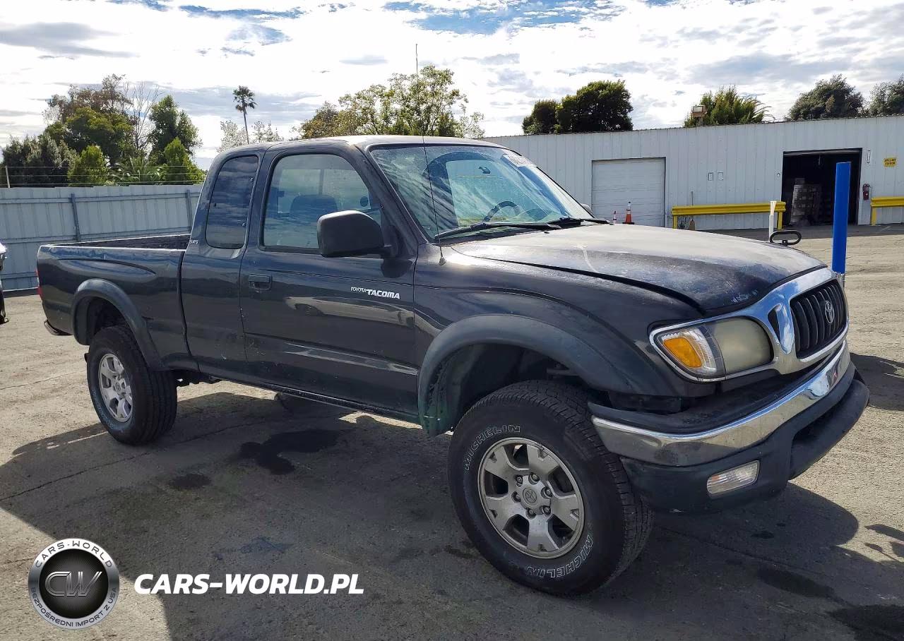 2003 Toyota Tacoma Xtracab Prerunner VIN:5TESM92N83Z289966 - 4