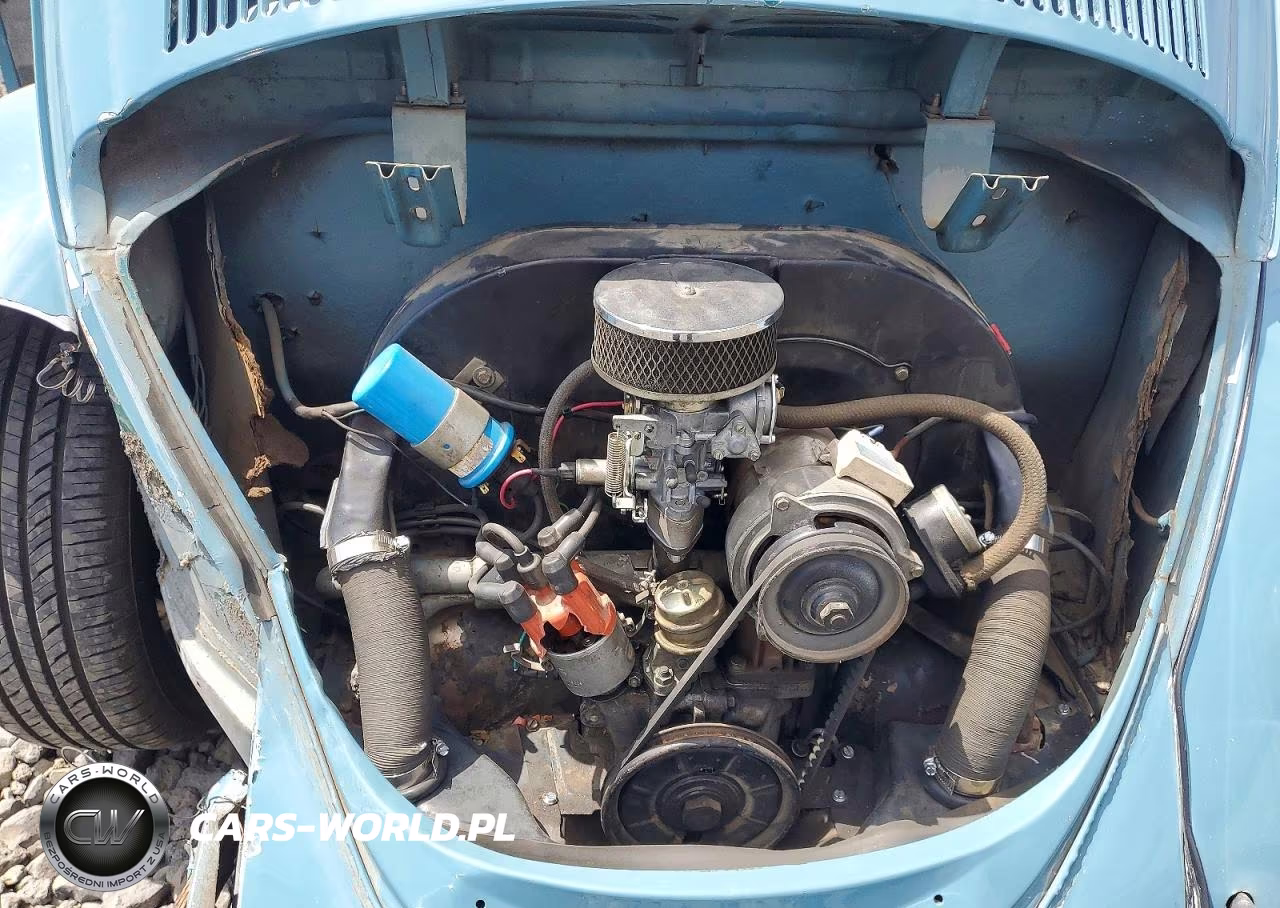 1965 Volkswagen Volkswagen VIN:115891551 - 11