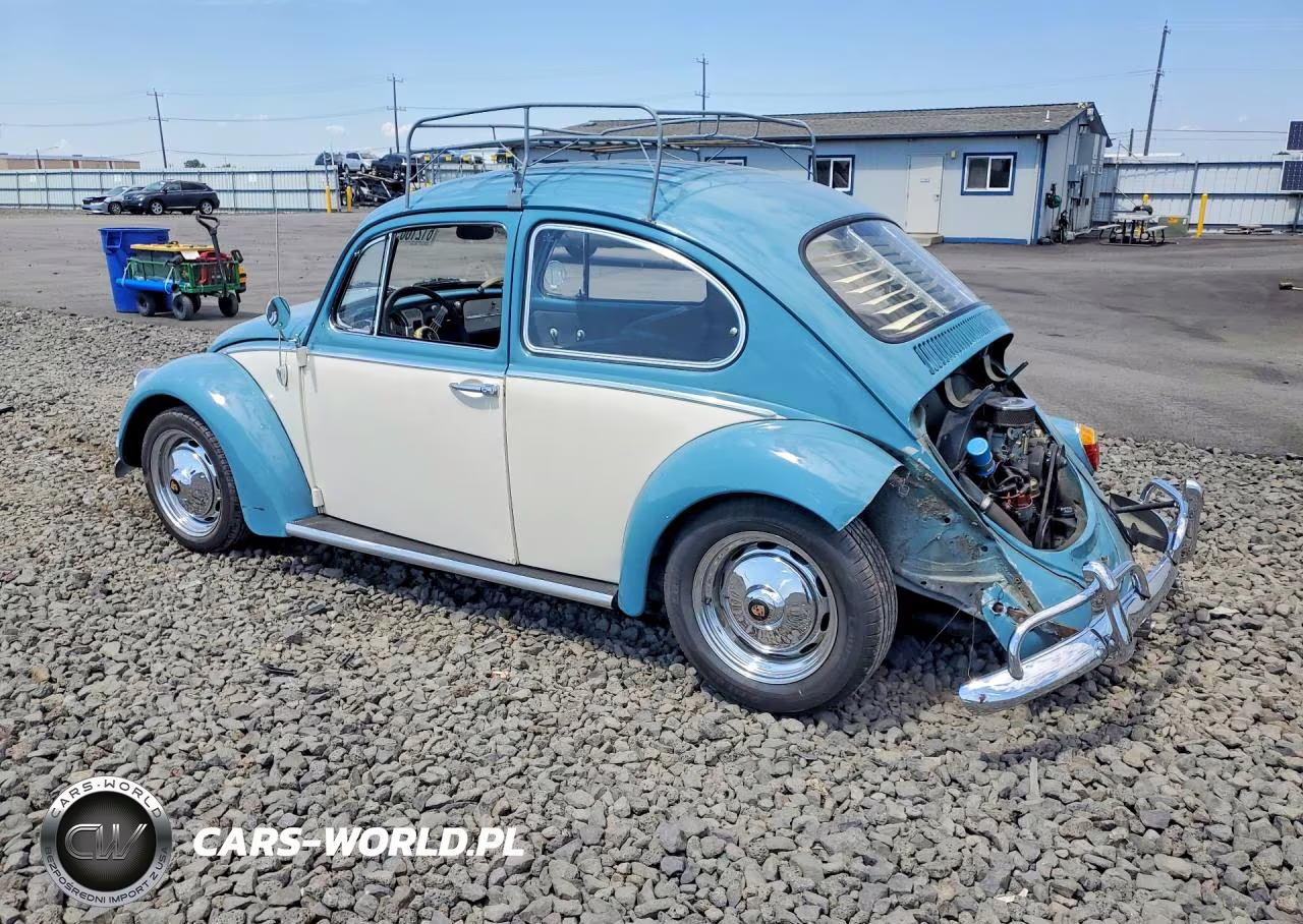 1965 Volkswagen Volkswagen VIN:115891551 - 2