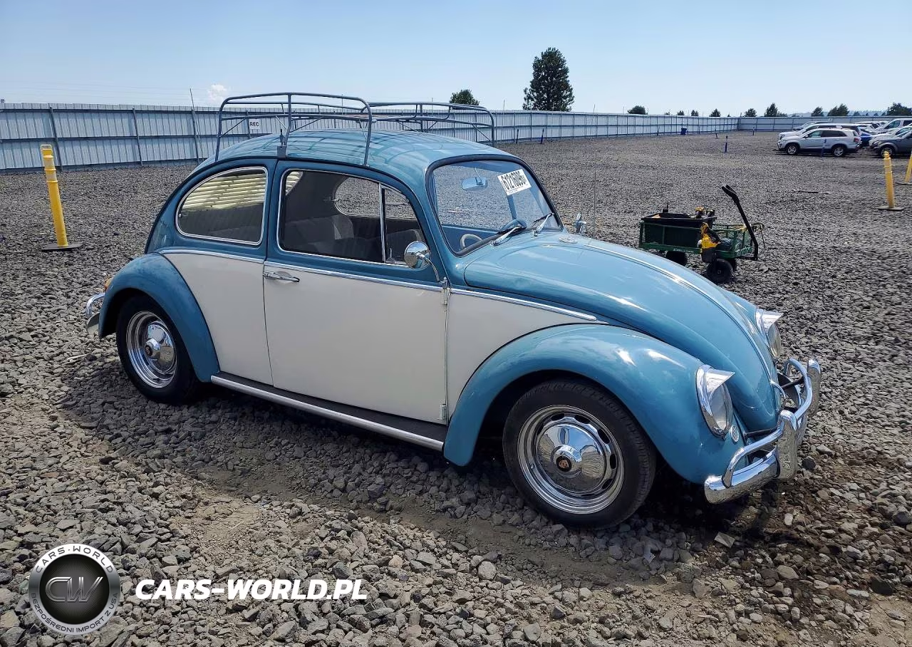 1965 Volkswagen Volkswagen VIN:115891551 - 4