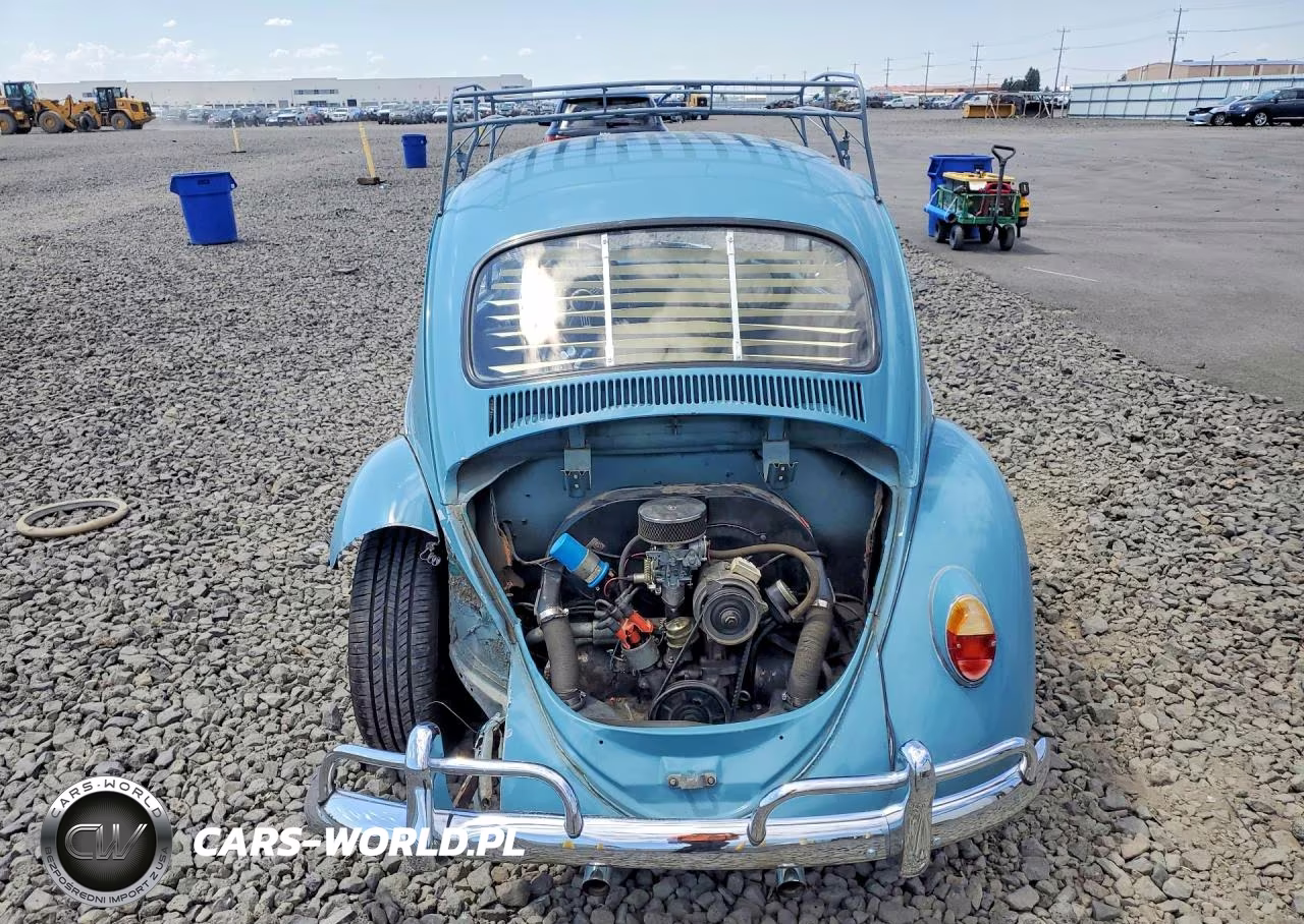 1965 Volkswagen Volkswagen VIN:115891551 - 6