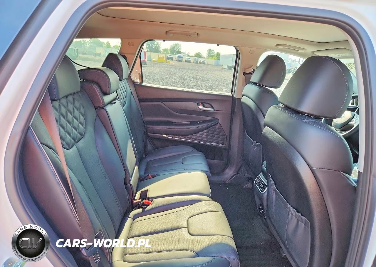 2022 Hyundai Santa Fe Limited VIN:KM8S5DA14NU053949 - 10