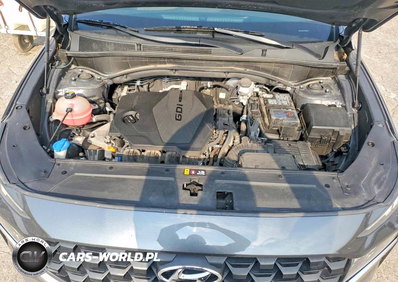 2023 Hyundai Santa Fe Sel VIN:5NMS2DAJ1PH559343 - 12