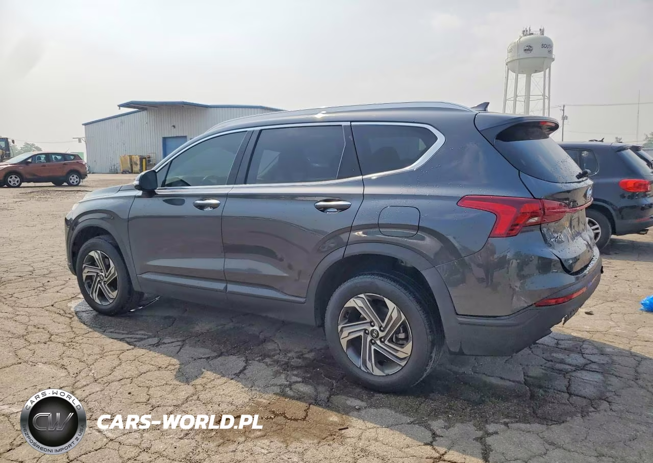 2023 Hyundai Santa Fe Sel VIN:5NMS2DAJ1PH559343 - 2