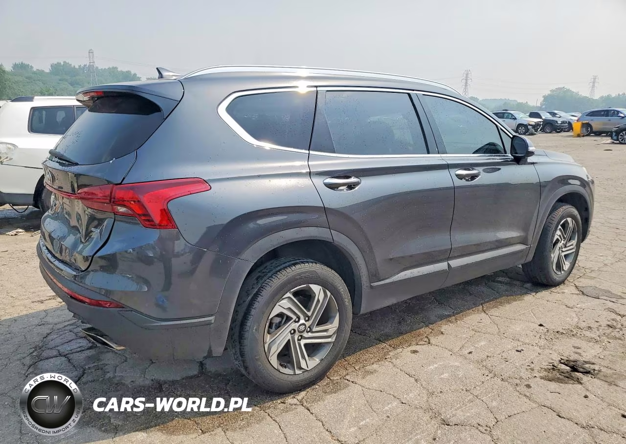 2023 Hyundai Santa Fe Sel VIN:5NMS2DAJ1PH559343 - 3